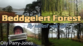 Beddgelert Forest  My Wettest Walk Yet [upl. by Nadler]