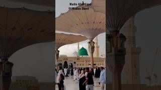 Masha Allah tabarak Kalla ji I love Madina Sharif [upl. by Holzman963]