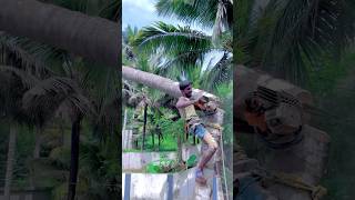 Tree cutter Suyambu Tamilnadu tree cutter [upl. by Denton]