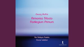 Florilegium primum Fasciculus VII quotConstantiaquot I Air Grave [upl. by Moria]