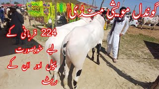 Latast update gondal mandi 3 jun 2024  Gondal mandi attock [upl. by Yael]