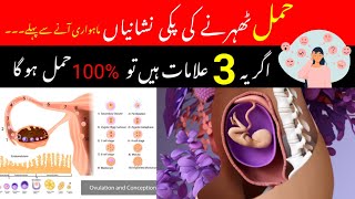 Top 3 Early Pregnancy Symptoms  Hamalki Alamat In UrduHindi  Implantation Symptoms by pregno [upl. by Eatnoid984]