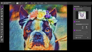 How to AutoPaint and add effects using Painter Essentials 7 [upl. by Eybbob]