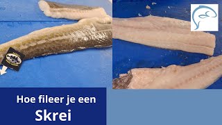 Skrei fileren  Middelkamp Vis [upl. by Groark]