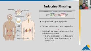 BIOL201 Ch91  Signaling Molecules and Cellular Receptors [upl. by Arlyn982]