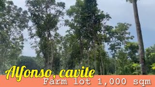 L13524  1000 sqm farm lot with river access and fruit trees  Alfonso cavite Philippines [upl. by Dublin]