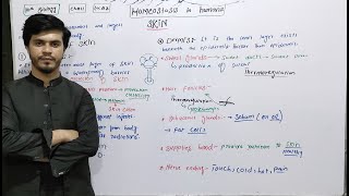 Class 10 biology  ch 11  lec 2  Homeostasis in human 10th biology [upl. by Kadner]