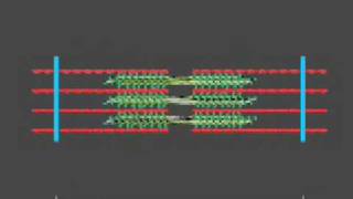 How a muscle contraction is signalled  Animation [upl. by Rozanne]