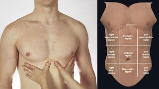 CHEST AND ABDOMEN PALPATION [upl. by Fanning]