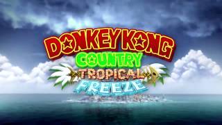 Level 61 Homecoming Hijinks  Donkey Kong Country Tropical Freeze  Music [upl. by Jeromy]