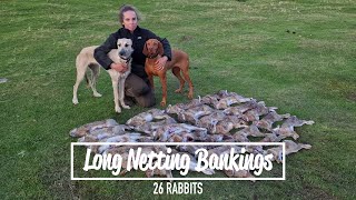 Long Netting Bankings  26 Rabbits Removed [upl. by Amesari]