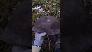 deutscher Stahlhelm aus dem WW2 gefunden metaldetecting metalldetektor sondeln ww2 [upl. by Zaslow]