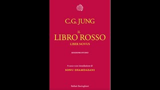 Il libro Rosso  lanima e Dio [upl. by Hgeilyak335]