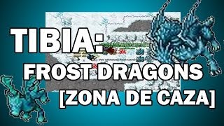 Tibia Como llegar a Frost Dragons Zona de Caza [upl. by Lenuahs]