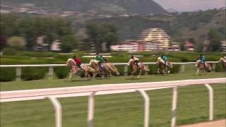 Haflinger Galopprennen in Meran [upl. by Meter517]