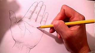 How to Draw Hands Step by Step Many Ways [upl. by Yehudit]