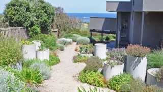 Flinders Coastal Garden by Jim Fogarty [upl. by Nurat]