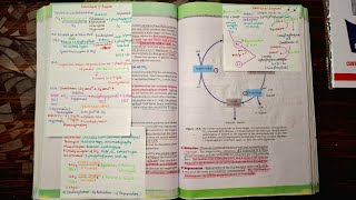 Photosynthesis in higher plants class 11th NCERT BIOLOGY FOR NEET PhysicsWallah Class11thNEET [upl. by Rodger]