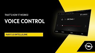 Navi 50 IntelliLink  Voice Control  Thats How It Works [upl. by Cathey]