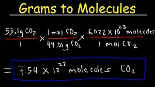 Grams to Molecules and Molecules to Grams Conversion [upl. by Bouchier]