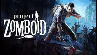 How To Host Project Zomboid Build 41 Multiplayer Dedicated Server [upl. by Kilk]