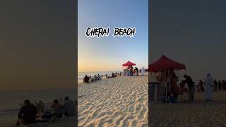 🛑Cherai beach  kochi  couple  vypin  Marine drive [upl. by Gaudet163]