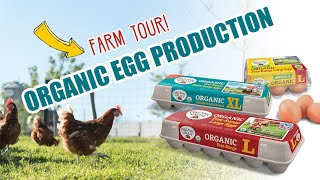 Organic Egg Farm Tours  Organic Valley [upl. by Redmond]