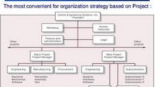 4Project Organizational Structures [upl. by Rabelais]