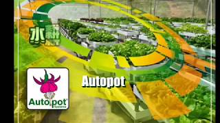 Autopot Herbs Production 水耕香草生產 魚菜共生 植物工場 [upl. by Aihsila295]