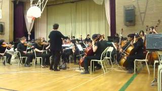 Pirates of the Caribbean  York Memorial Chamber Strings Orchestra [upl. by Glassman894]