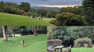 Aberdare Country clubMost Beautiful Resort in KenyaA scenic wildlife reserveA haven in the hills [upl. by Saref]