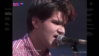 Lloyd Cole and the Commotions  Rattlesnakes Live 1984 [upl. by Justus507]