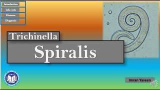 Trichinella spiralis a ratpig worm facing dead end host  Parasitology  by Imran Yaseen [upl. by Eliezer]