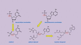 TenofovirAdefovirCidofovir antivirales síntesis introducción [upl. by Sinegold]