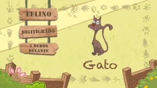 Las características del GATO [upl. by Elyod]