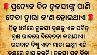 ପ୍ରତ୍ଯେକ ଦିନ ତୁଳସୀଙ୍କୁ ଜଳ ଅର୍ପଣ କରିବା ଦ୍ଵାରା କେଉଁ ପ୍ରକାର ଫଳ ପ୍ରାପ୍ତ ହୋଇଥାଏdharmik katha [upl. by Coyle]