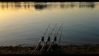 Linear Fisheries  The Number One Day Ticket Carp Water [upl. by Eidarb33]