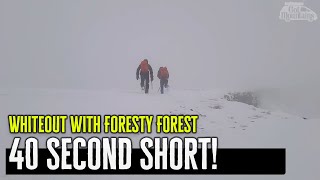 Spending the day with Foresty Forest  Short [upl. by Huggins57]