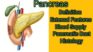 Pancreas [upl. by Thgiwd]