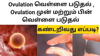 ovulation வெள்ளை படுத்தல் எப்படி இருக்கும்  white discharge in tamil  ovulation symptoms in tamil [upl. by Groh]