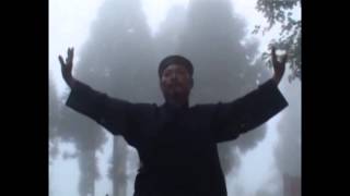 Wudang LONGEVITY EXERCISES quotYang Sheng Gongquot [upl. by Neirol]