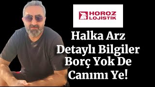 Horoz Lojistik Halka Arz Detaylı Bilgiler Borç Yok Karlılık Güzel [upl. by Ydwor]