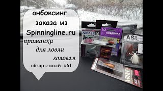 анбоксинг заказа из Spinninglineru  приманки для ловли головля обзор с колёс 61 [upl. by Kernan]