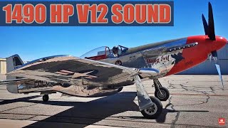 Starting up a P51 Mustang Pure sound [upl. by Mick]