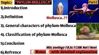 phylum molluscaphylum mollusca general characteristic and classification [upl. by Ayiak]