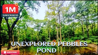 Biodiversity Park in Mollem  a hidden paradise full of wildlife travelvlogyoutubechannel travel [upl. by Tenay]