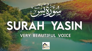 Surah Yasin Yaseen  Stunning recitation of Surah Yasin  سورة يس  Quran TV [upl. by Shurwood]