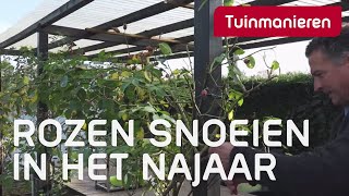 Rozen snoeien in het najaar hoe snoei je de klimroos  Tuinmanieren [upl. by Suirada547]