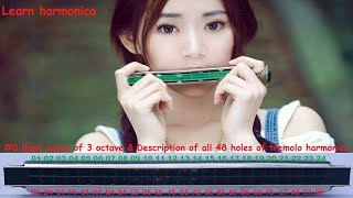 Notes description of 48 holes tremolo harmonica 0  details is in description [upl. by Narba]