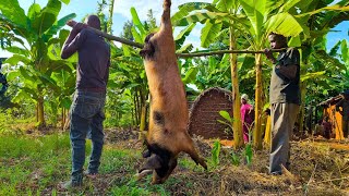 These African Village Family Cooks The Most Delicious Organic Rural Food  Pork Curry With Banana [upl. by Eiznekcam487]